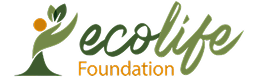 ecolifefoundation.techiewit.com